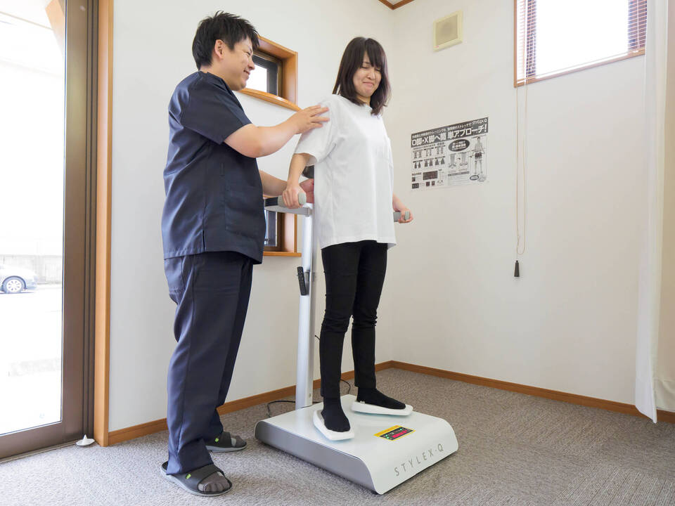 スタイレックス